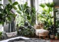 25 Of The Best Popular Interior Design Plants | Housetodecor.com