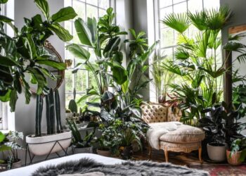 25 Of The Best Popular Interior Design Plants | Housetodecor.com