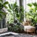 25 Of The Best Popular Interior Design Plants | Housetodecor.com